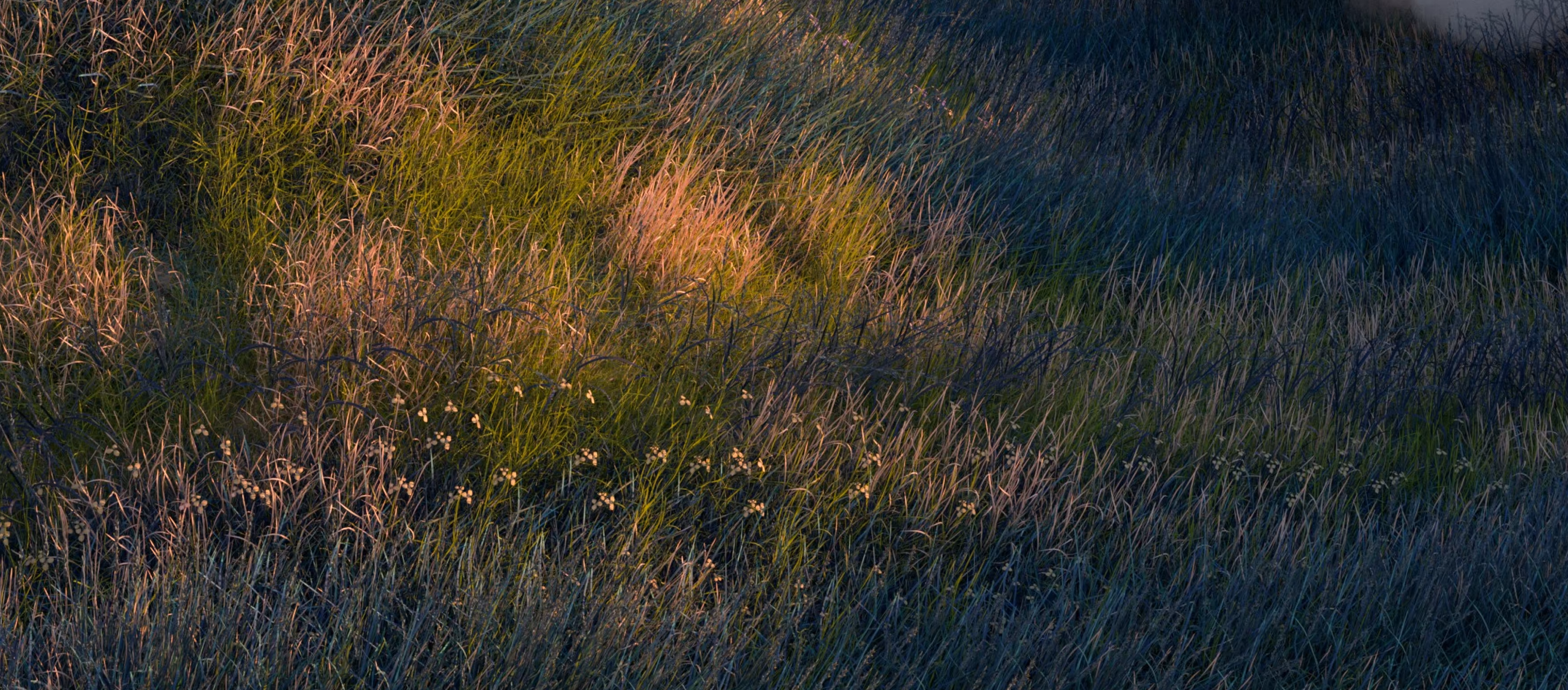 Cloud migration consulting services_03