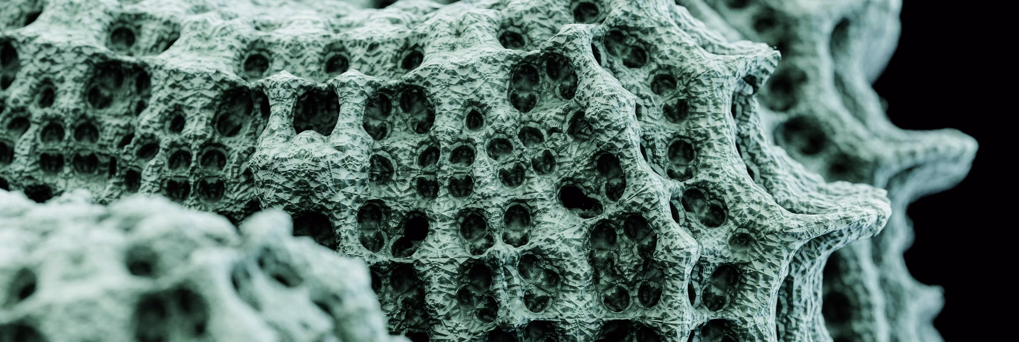 Computer vision in healthcare