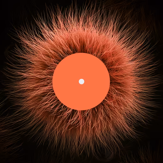 Spooky Season Playlist