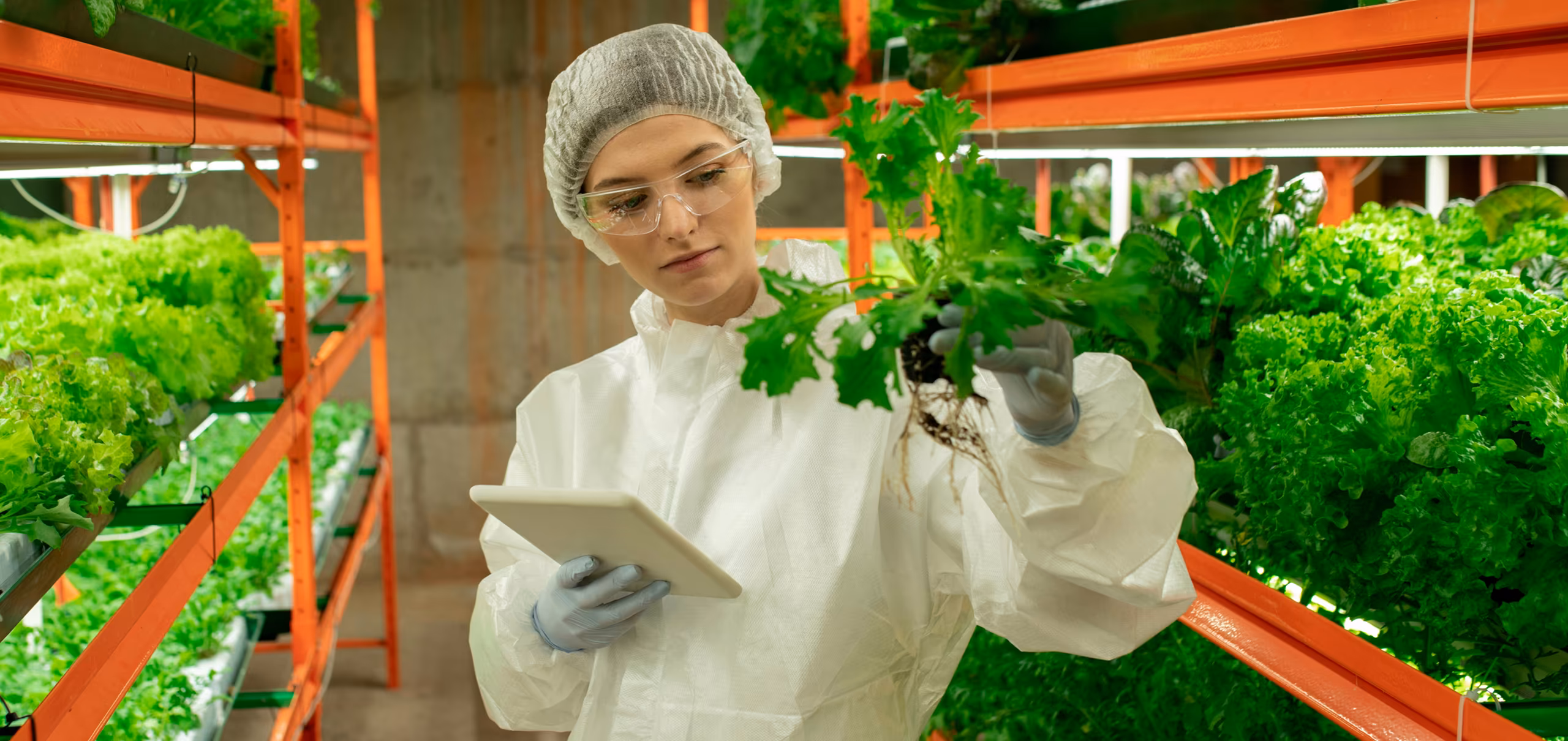 de_foodtech-services_00_hero