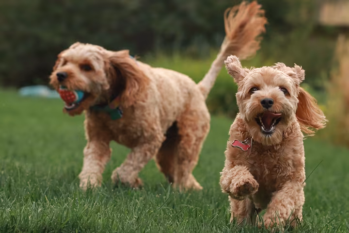 de_foodtech-services_02_success-stories_3-3