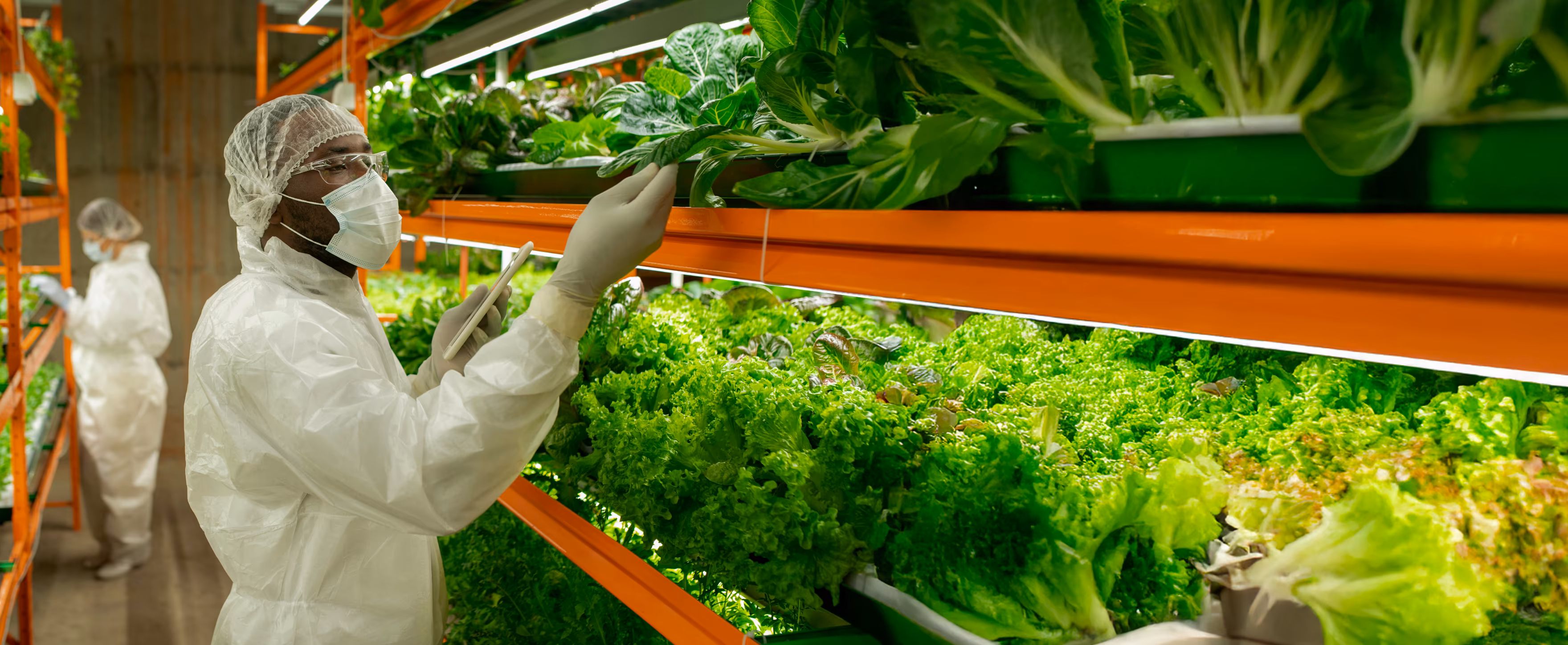 de_foodtech-services_03_cta