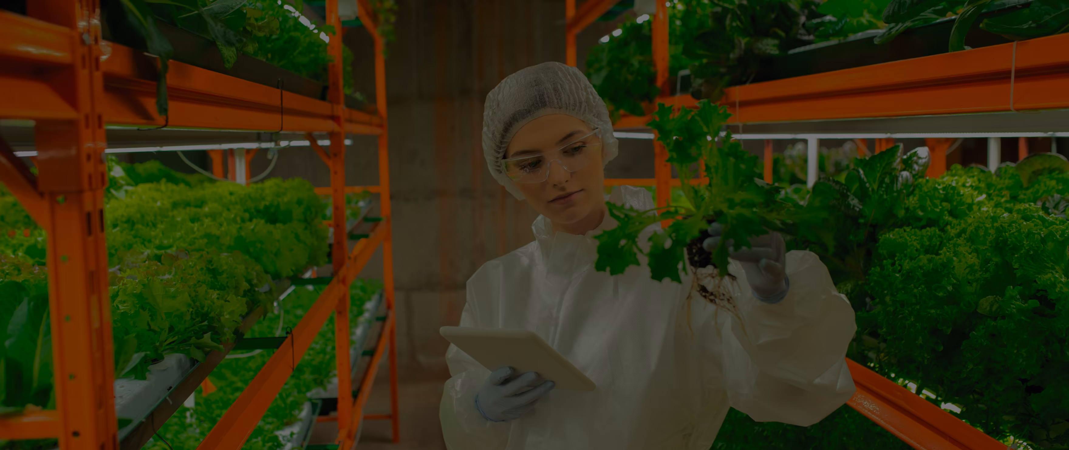 de_foodtech-services_04_numbers