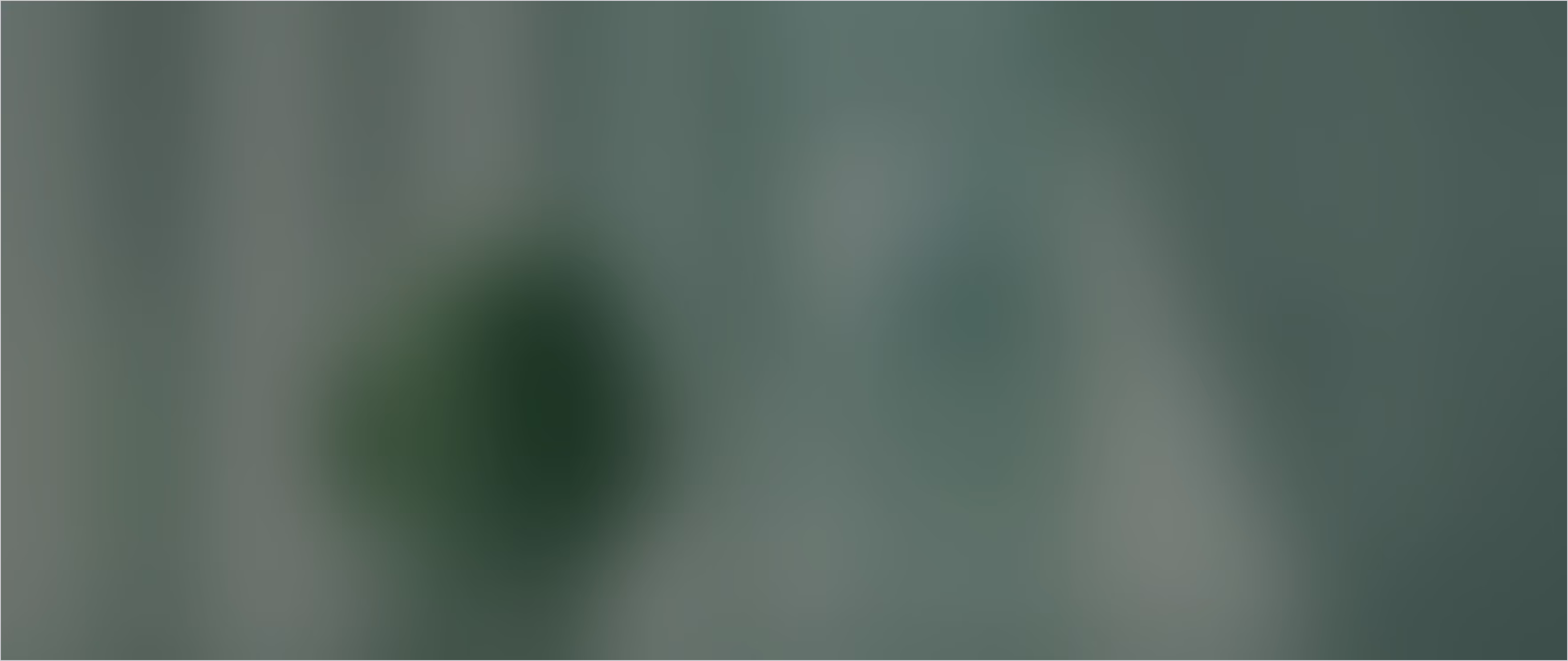 Cross-Platform-Entwicklung 01